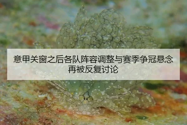 意甲关窗之后各队阵容调整与赛季争冠悬念再被反复讨论